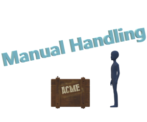 Cork Airport Manual Handling Theory